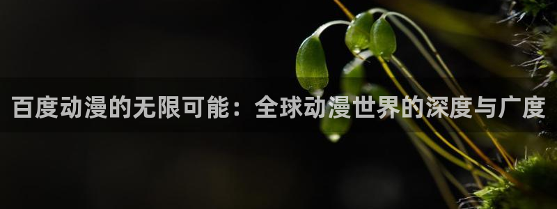 竞女樱花动漫：百度动漫的无限可能：全球动漫世界的深度与广度